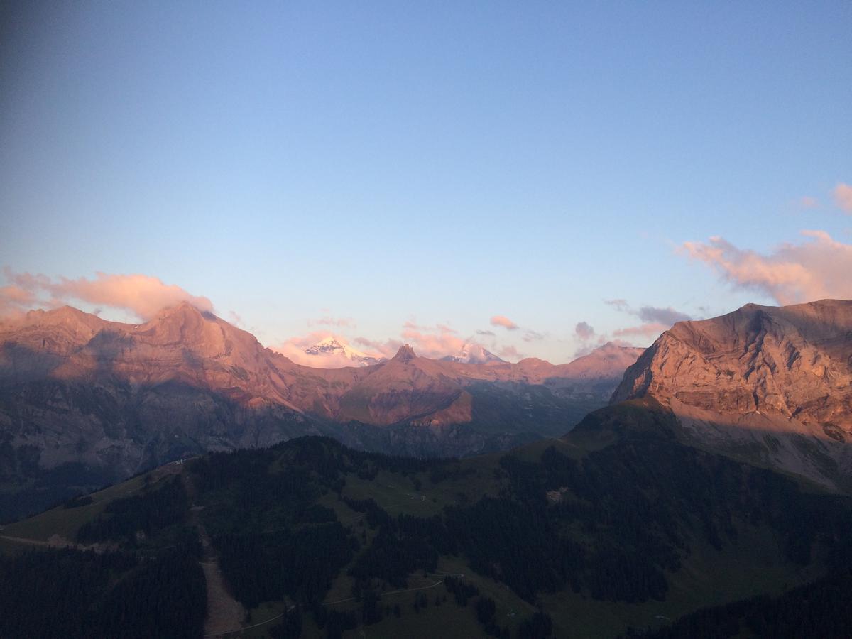 Appartamento Bergdohle Adelboden Esterno foto