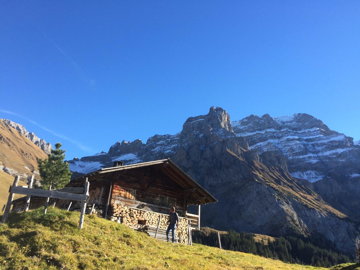 Appartamento Bergdohle Adelboden Esterno foto