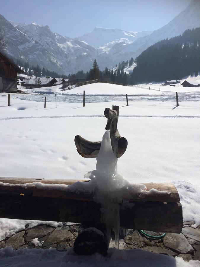Appartamento Bergdohle Adelboden Esterno foto