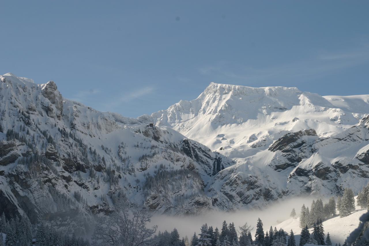 Appartamento Bergdohle Adelboden Esterno foto