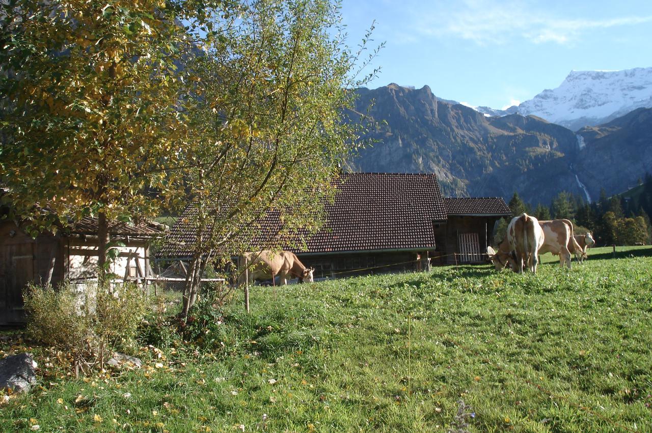 Appartamento Bergdohle Adelboden Esterno foto