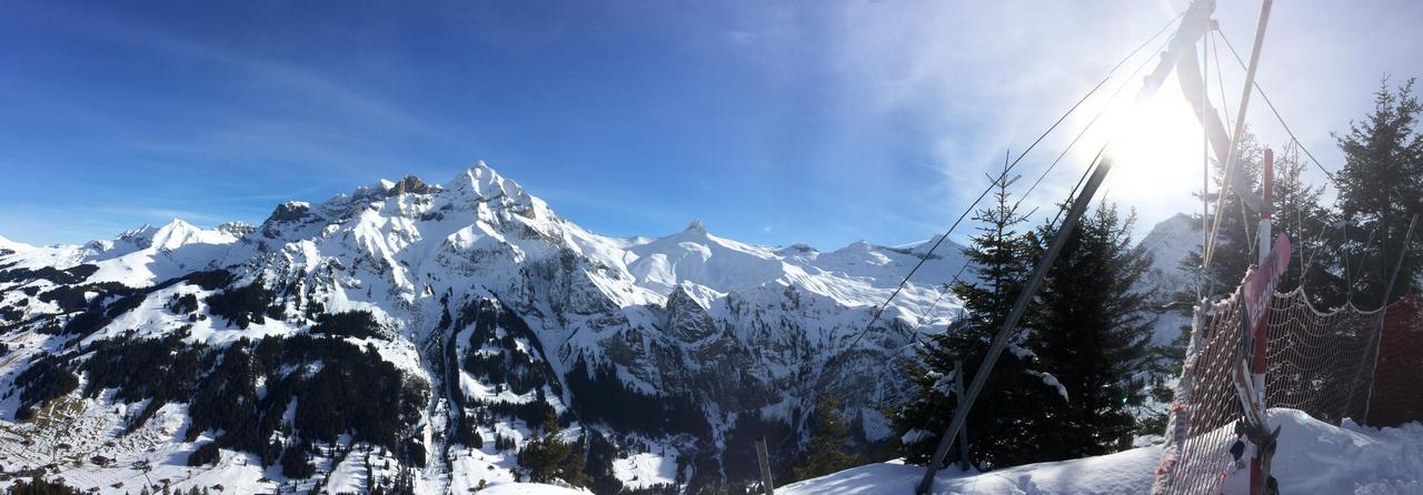Appartamento Bergdohle Adelboden Esterno foto