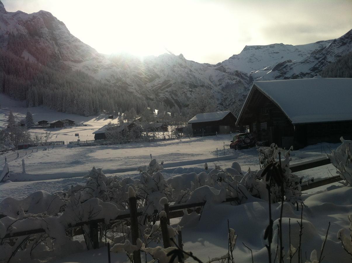 Appartamento Bergdohle Adelboden Esterno foto