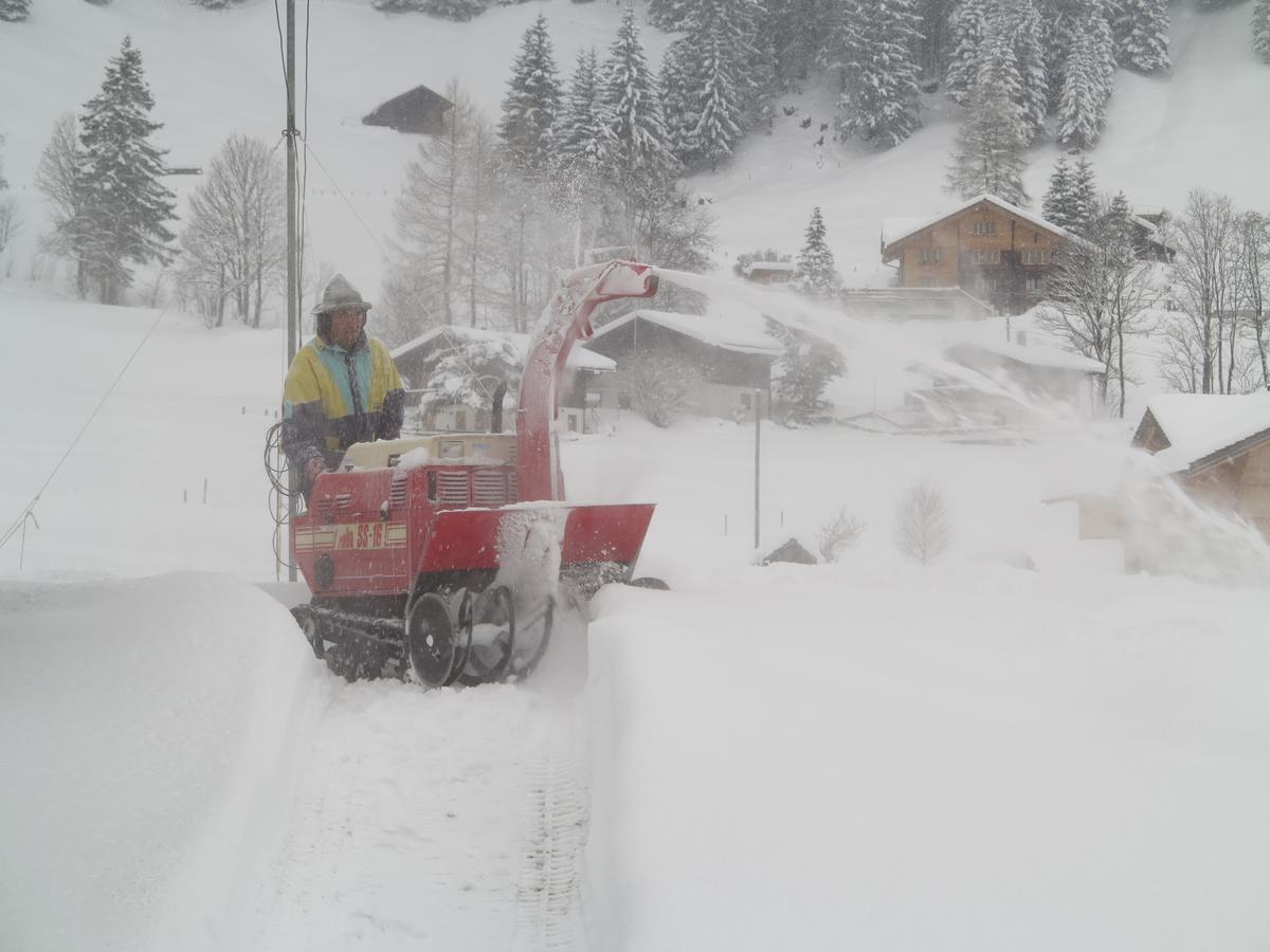 Appartamento Bergdohle Adelboden Esterno foto