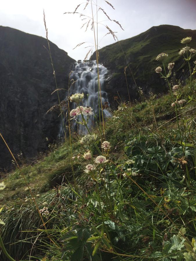 Appartamento Bergdohle Adelboden Esterno foto