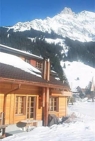 Appartamento Bergdohle Adelboden Esterno foto